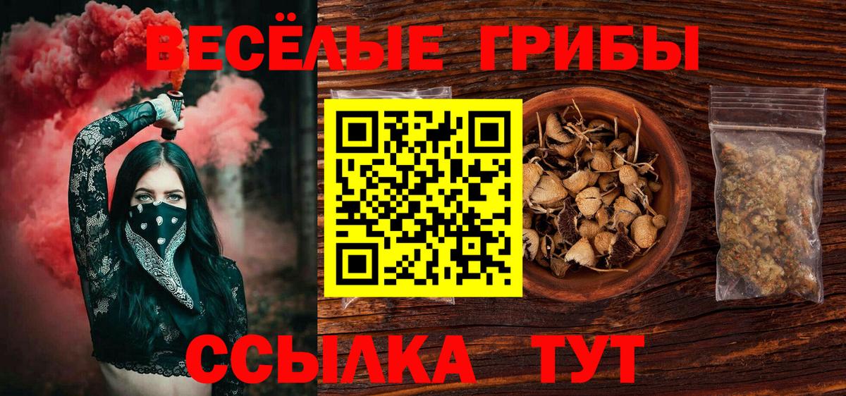 Псилоцибиновые грибы мицелий Ивантеевка