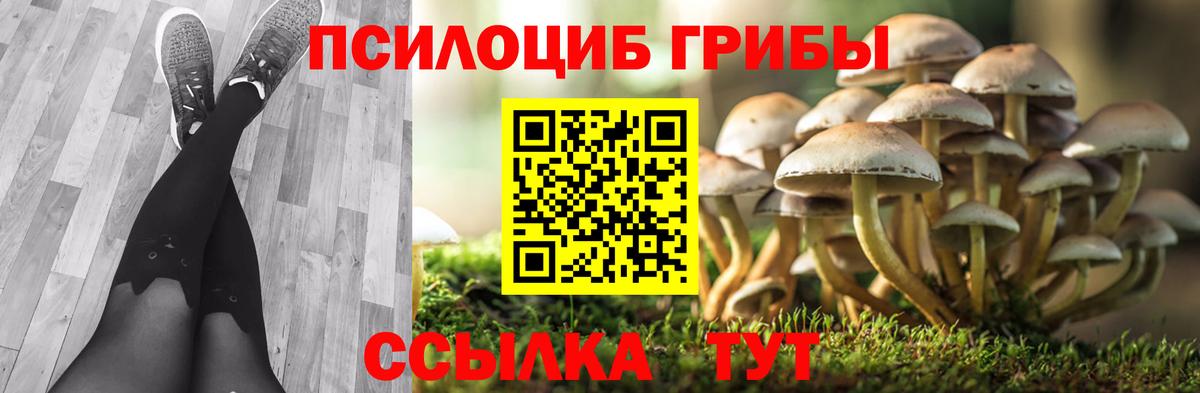Галлюциногенные грибы GOLDEN TEACHER  Галлюциногенные грибы MAGIC MUSHROOMS  Ивантеевка  купить  сайты  Вход с VPN 